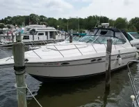 Maxum 4100 