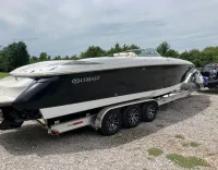 Cobalt 343 