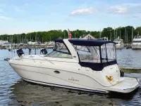 Rinker express 320 