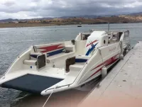 Advantage Partycat LX 26 