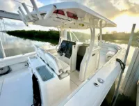 Stamas 390 Tarpon 