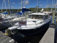 Cutwater Sedan 30 