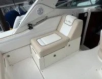 Sea Ray Sundancer 310 Sundancer