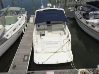 Rinker 390 