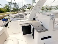 Rinker 390 