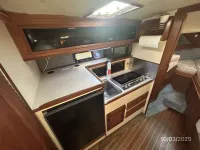 Pursuit 3100 Open