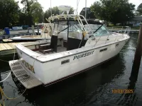 Pursuit 3100 Open