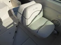 Sea Ray Weekender