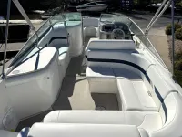 Formula 260 br