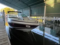 Cobalt 252 