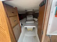 Bertram 26 Moppie