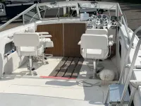 Bertram 26 Moppie