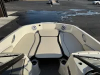 Stingray 191 dc 