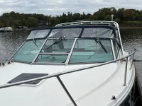 Sea Ray Amberjack 310 Amberjack 