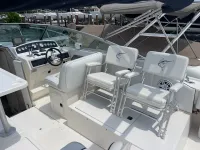 Sea Ray Amberjack 310 Amberjack 