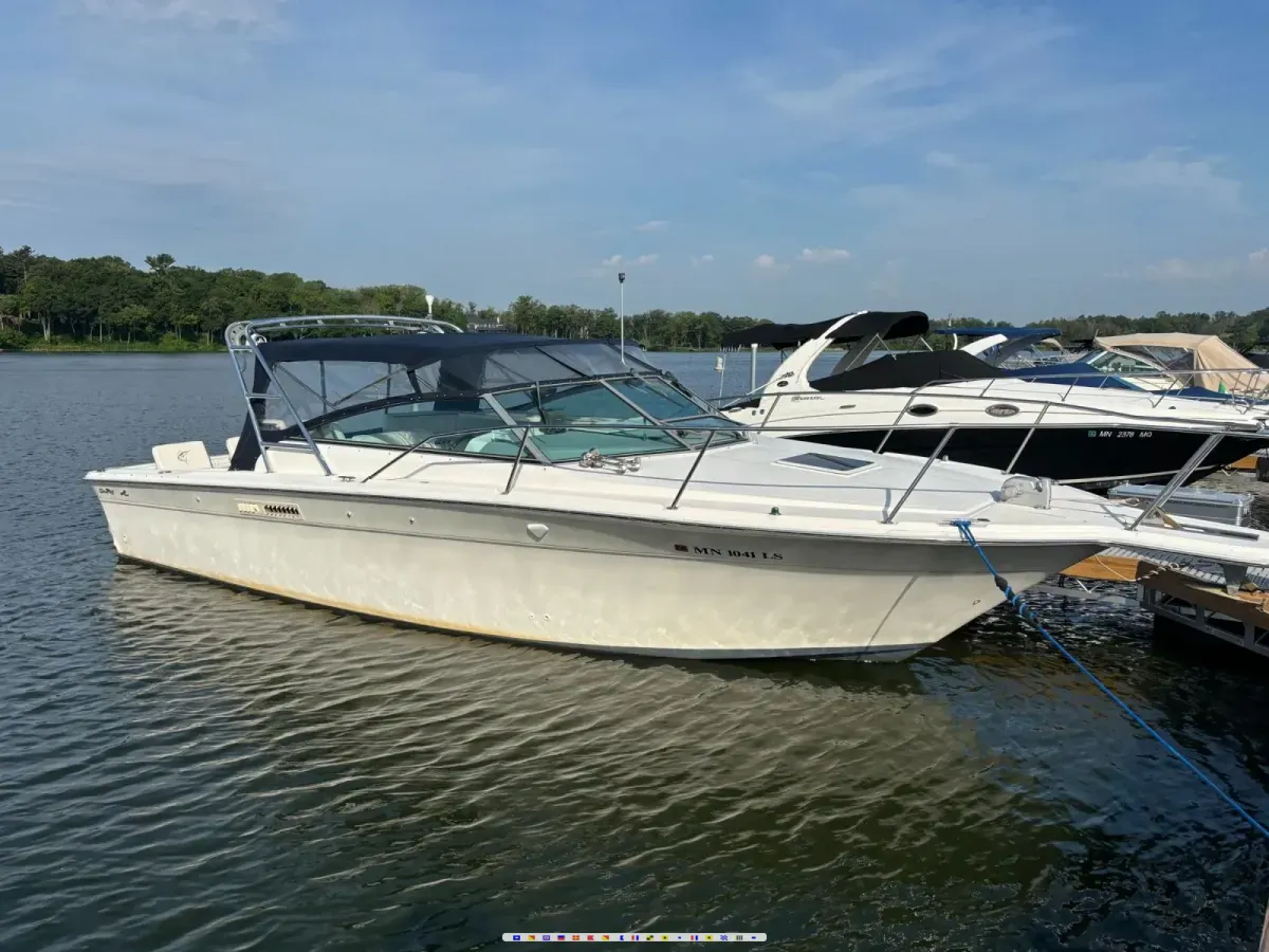 Sea Ray Amberjack 310 Amberjack 