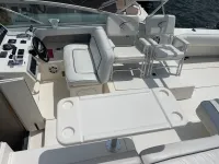 Sea Ray Amberjack 310 Amberjack 