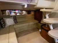 Sea Ray Sundancer 340 