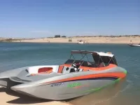 Cobra Python