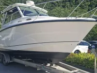 Boston Whaler Sport Conquest 315 