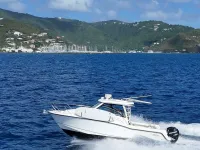 Boston Whaler Sport Conquest 315 