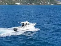 Boston Whaler Sport Conquest 315 