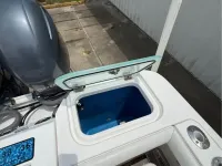 Everglades 255cc