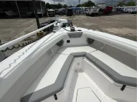 Everglades 255cc
