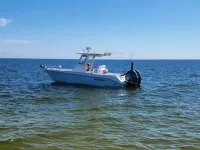 Everglades 255cc