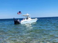 Everglades 255cc