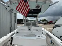 Everglades 255cc