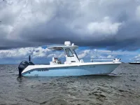 Everglades 255cc