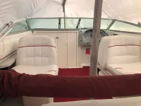 Sea Ray Weekender