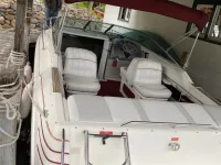 Sea Ray Weekender