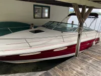 Sea Ray Weekender