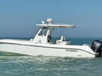Everglades 295cc 