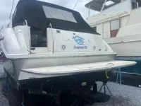 Sea Ray Sundancer