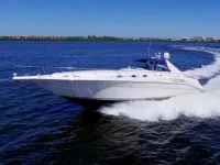 Sea Ray Sundancer 