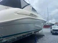 Sea Ray Sundancer