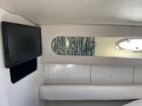 Sea Ray Sundancer