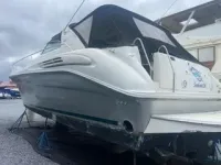 Sea Ray Sundancer