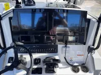 Cobia 301cc