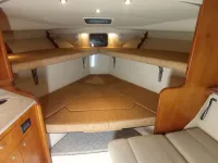 Rampage 33 express