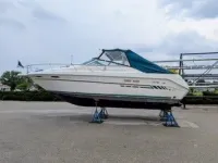 Sea Ray Weekender 300 we