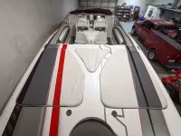 MTI 44 Pleasure Cat