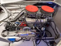 MTI 44 Pleasure Cat