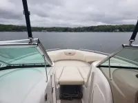 Chaparral 256 ssi 