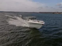 Fountain 38 scx