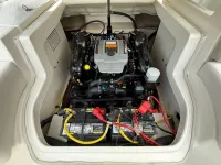 Chaparral 246 SSi