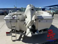 Sun Bird 1998 OMC Sunbird